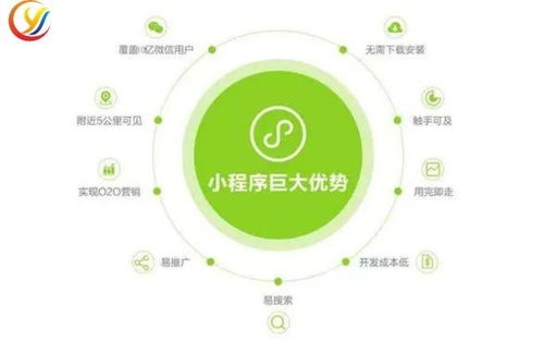 风口上的拼多多 入局社区团购,直接对标美团和兴盛优选